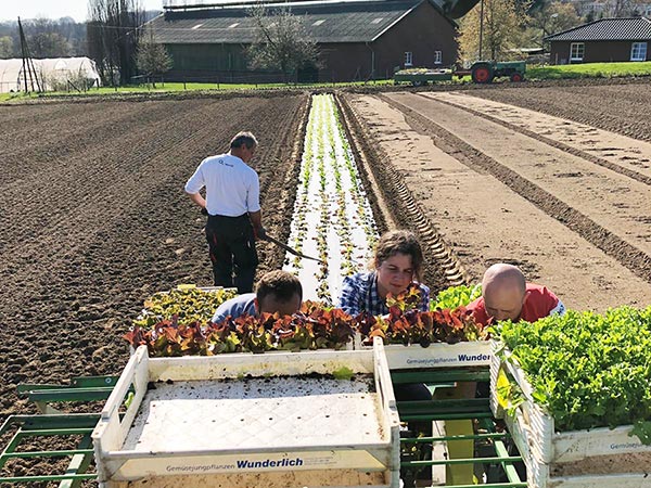 Säen, Hacken und Ernten, das ist Handarbeit.