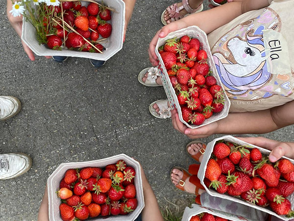 Feldmanns Grüner Markt - Bauernhofpaedagogik