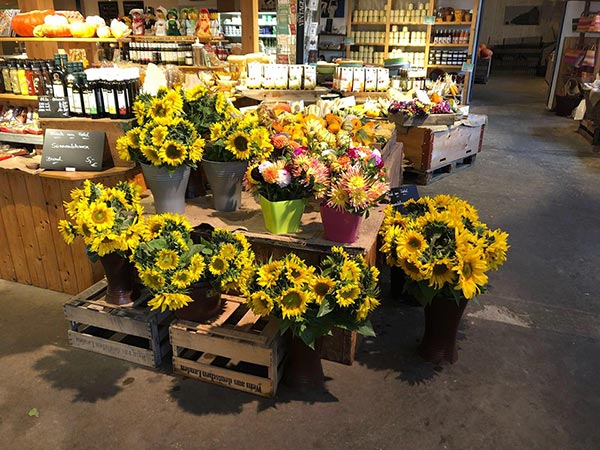 Wie im Paradies – wunderschöne Schnittblumen vom Hof Feldmann.