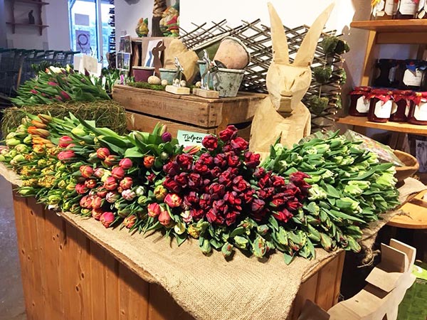 Gerne binden wir Ihnen schöne Blumensträuße zu verschiedenen Anlässen.