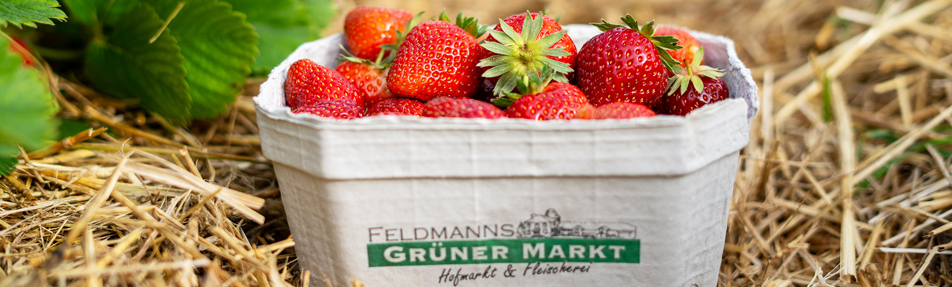 Erdbeeren aus eigenem Anbau