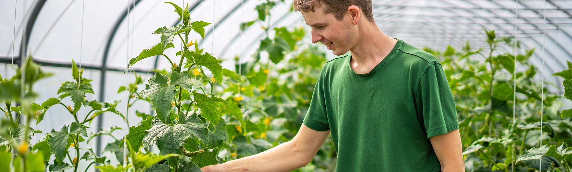 Gemüse aus eigenem Anbau