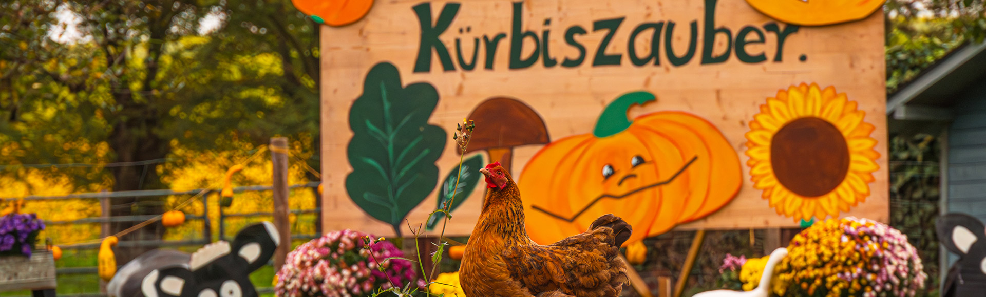 Feldmanns Kürbiszauber