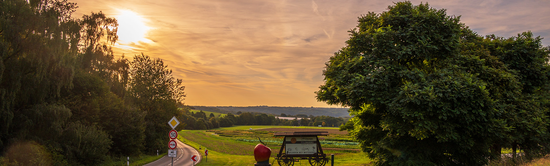 Feldmanns Grüner Markt Landschaft