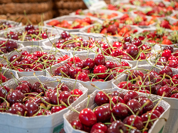 Feldmanns Grüner Markt - Hofladen