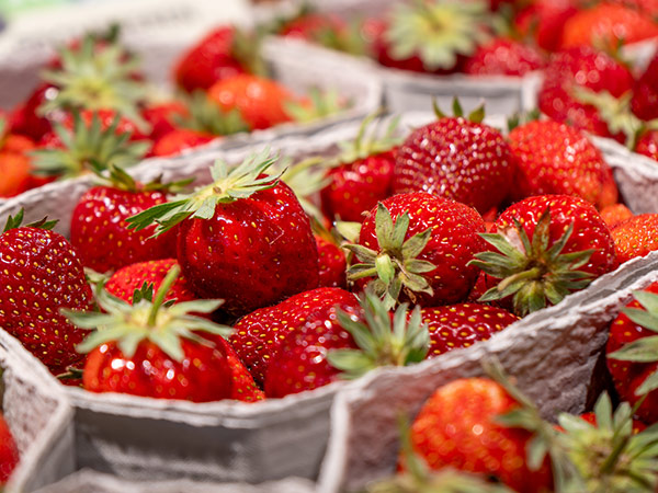 Feldmanns Grüner Markt - Hofladen