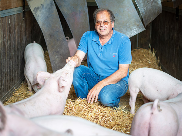 Feldmanns Grüner Markt - Hofmetzgerei Tiere