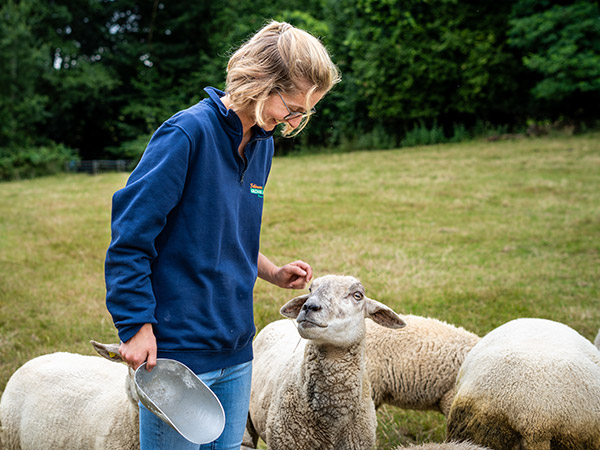 Feldmanns Grüner Markt - Hofmetzgerei Tiere